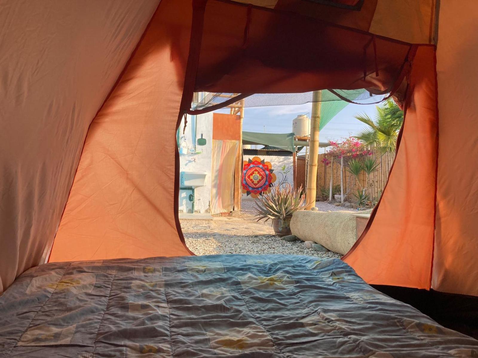 Paracas Camp Lodge & Experiences Extérieur photo